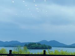 -楼外楼(西湖景区孤山路店)