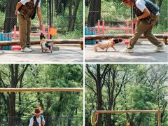 -南戴河国际娱乐中心