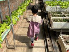-甜心庄园·甜心草莓采摘园(西青中北店)