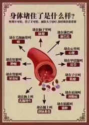 -香薇妮丝·定制减肥·身材管理