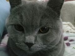 -纳吉亚猫专科动物医院博雅分院