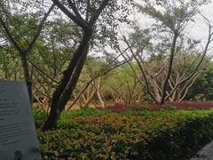 -同里国家湿地公园