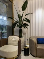-亿美医疗美容·半岛大超炮官方授权店