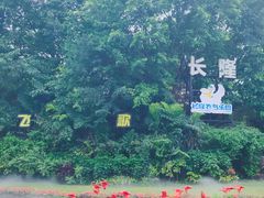 -广州长隆飞鸟乐园
