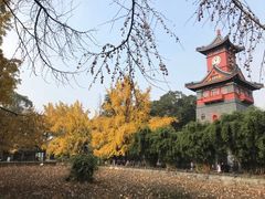 -四川大学(望江校区)