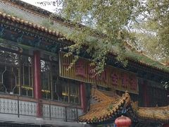 -一盏明灯全素斋(殊像寺店)