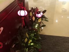 -哈尔滨香格里拉大酒店