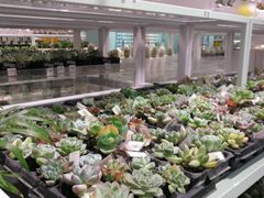 -KKV(深圳宏发大仟里店)