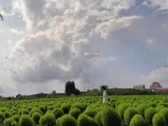 -映月湖中央公园