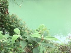 -广州市流溪河国家森林公园