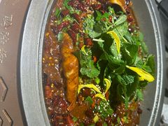 -黔渔翁豆花渎鱼(喷水池店)