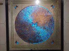 -上海昆虫博物馆