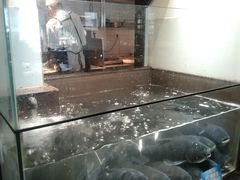 -上名堂·鱼头好吃(体育场路店)