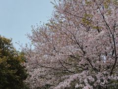-苏州上方山国家森林公园