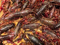 鲜活小龙虾-咖啡厅自助餐厅(贵阳中天凯悦酒店)