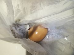 -龙丰楼包子(南方大厦店)