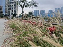 -横琴购口岸商业广场