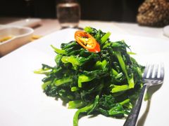 酒香豆苗-RIVIERA 松鹤楼(外滩店)
