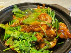 生啫牛蛙煲-粤秀小厨·广式早茶(辽宁路店)