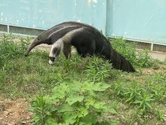-无锡动物园·太湖欢乐园
