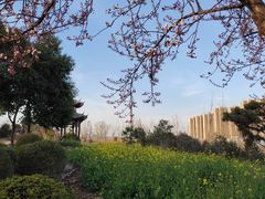 -巴西烤肉海鲜自助餐厅