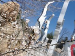 -八奇洞景区