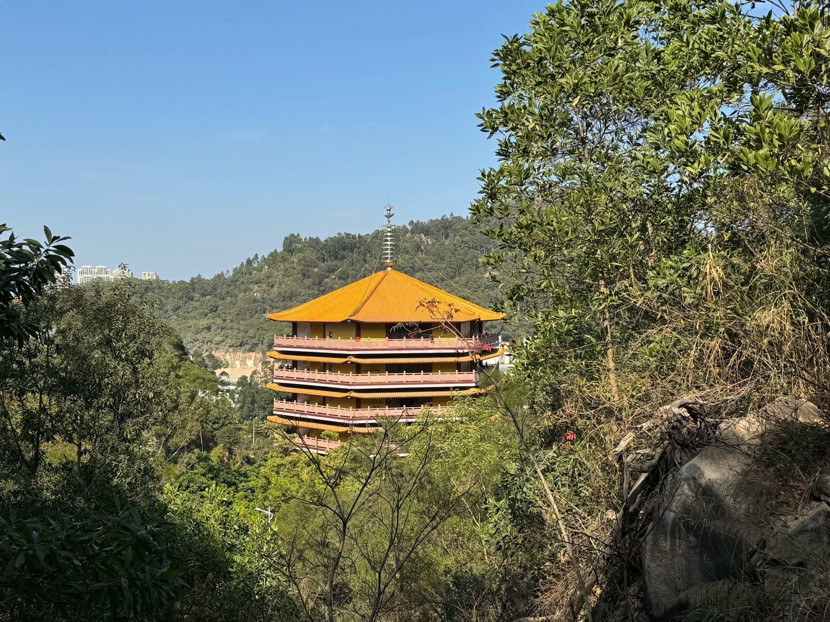 厦门海沧免费景点大全图片