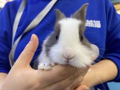 -龟与熊猫宠物公园(南坪店)