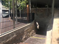 -周口店北京人遗址公园