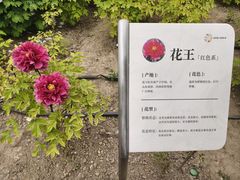 -太阳宫公园
