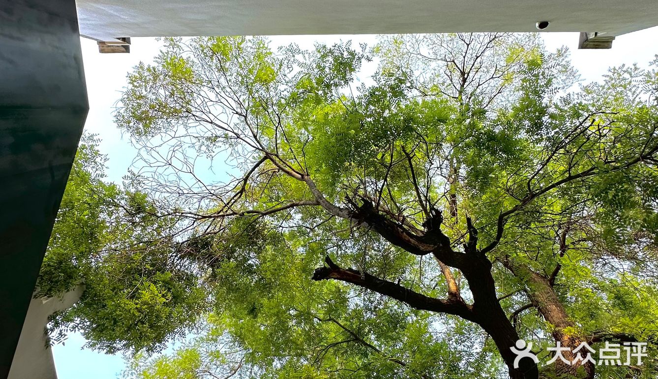 北新桥的开饭,点燃了整个东四!