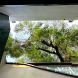 北新桥的开饭,点燃了整个东四!