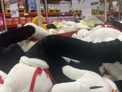 -山姆会员商店(亦庄创意生活广场店)