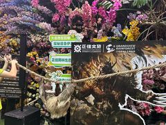 -正佳雨林生态植物园