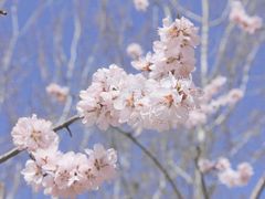 -延庆地质公园博物馆