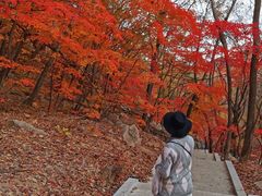 -丹东天桥沟景区