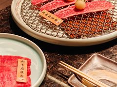 -老乾杯(深圳湾万象城店)
