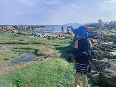 -青岛第二海水浴场