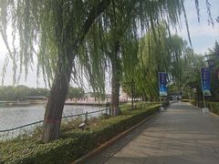 -西安汉城湖景区