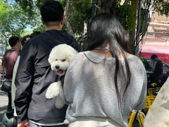 -王中王刨冰