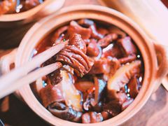 -九鼎轩脆毛肚火锅(三钢里店)