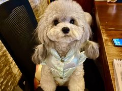 -木兰逸•泰式按摩•头疗•SPA(车公庙店)