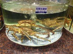 -新海利海鲜城·41年珠海老字号(夏湾店)