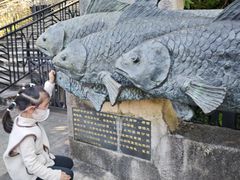 -墨江北回归线标志园