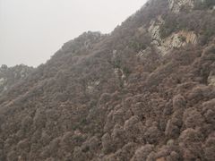 -少华山国家森林公园