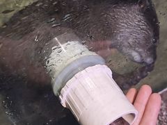 -重庆欢乐海底世界