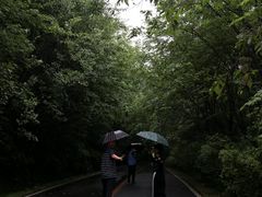 -五女峰国家森林公园