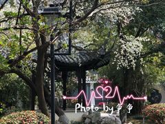 -锡师附小学(学前街校区)