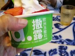 -Salud撒露欧洲冻酸奶(北苑上品店)