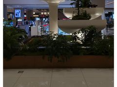 -国芳中心